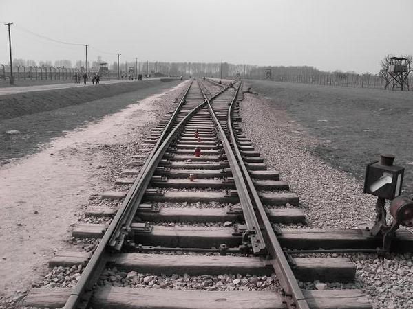 Birkenau train tracks
