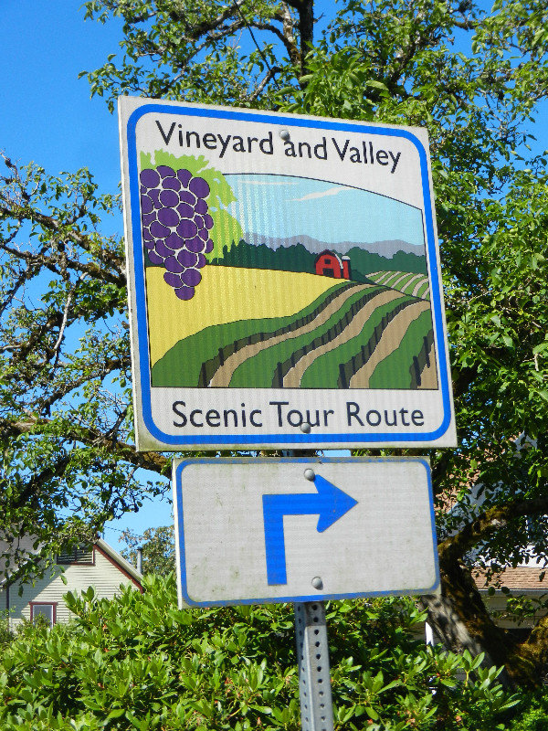 Vineyard Scenic Tour