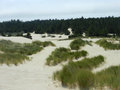 Dunes - Grasslands