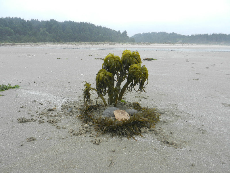 Bastendorf Beach 