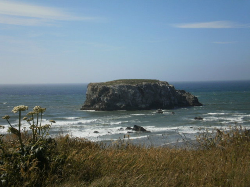 Coquille - Table Top Rock