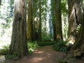 Stout Grove Trail