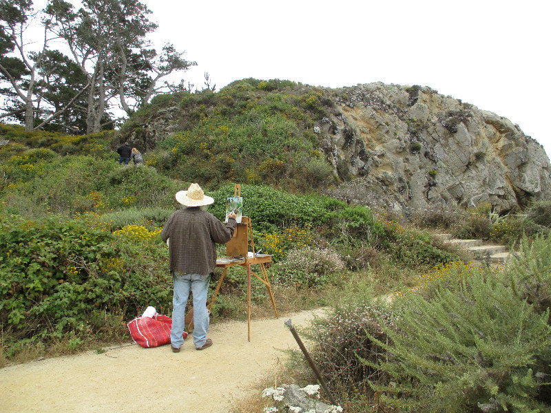 Point Lobos - artist