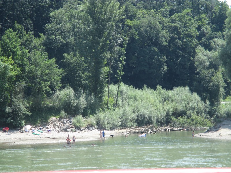 Danube - sunbathing