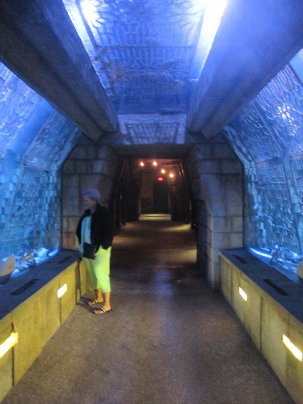 The Dig - Lobster Tunnel
