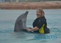 Dancing With Dolphins