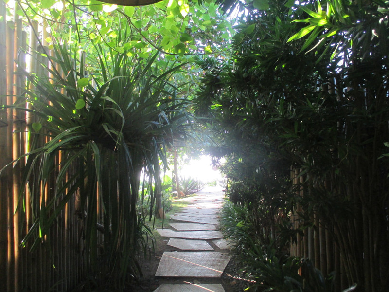Bamboo Walkway to the beach