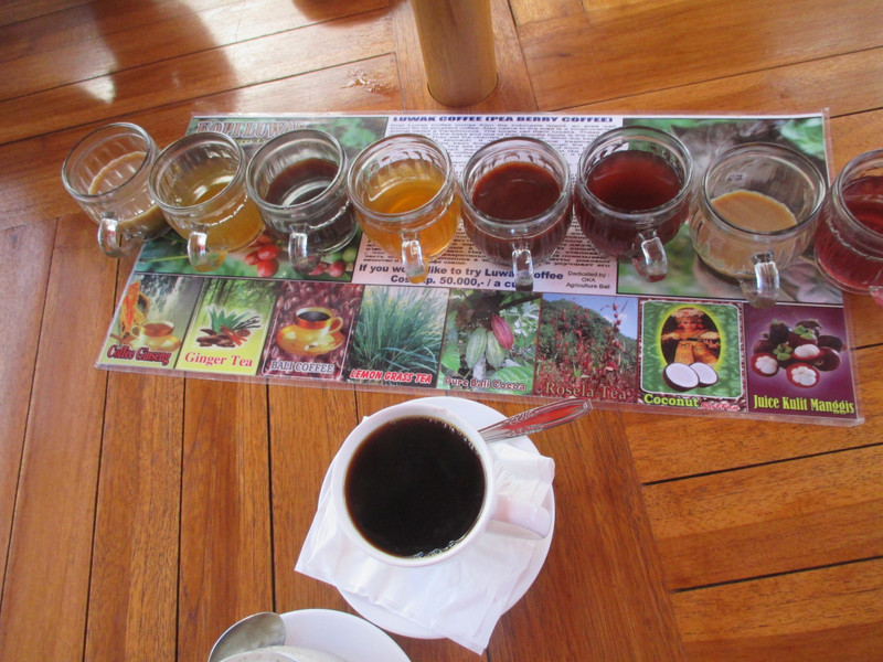Coffee Plantation - taste testing