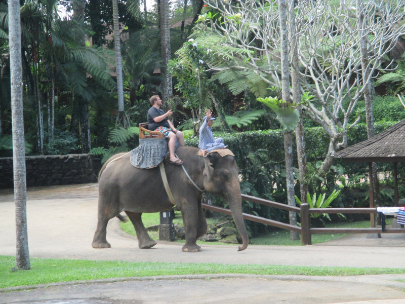 Patrick riding the elephant