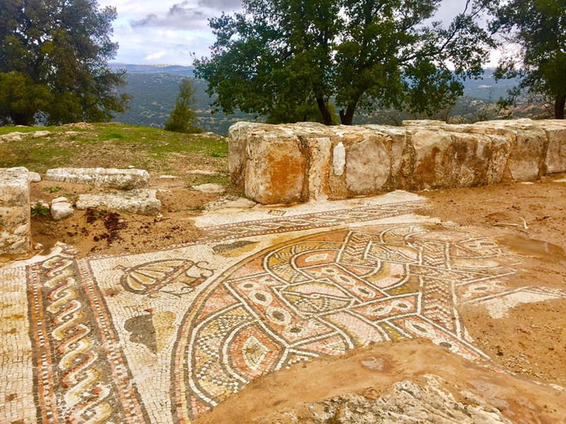Mosaic Flooring of Byzantine Church
