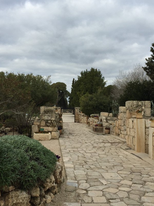Basilica of the Transfiguration - Gardens
