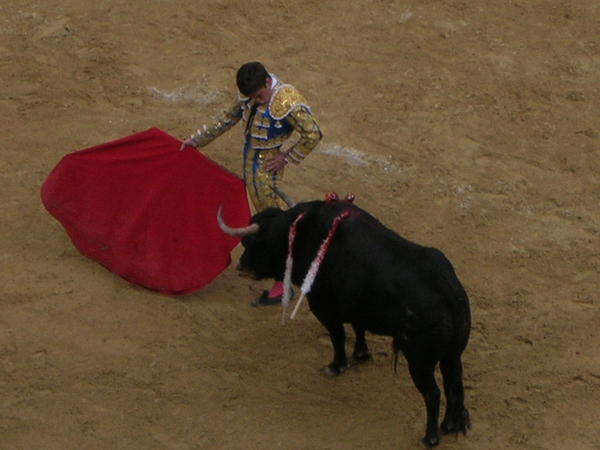 Bullfight in Bogota