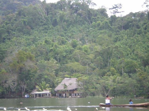 Excursion up the Rio Dulce, Guatemala