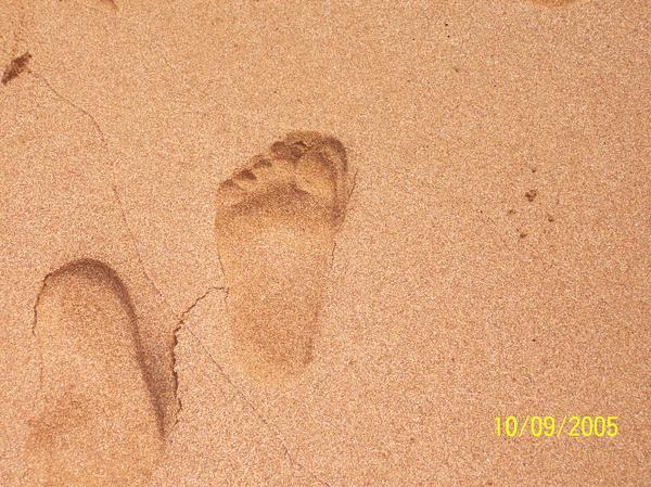 My footprints 