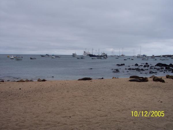 Port at Puerto Ayora 