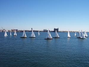 Sailboats in Boston Harbor