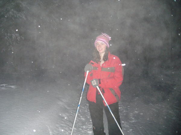 Skiing in a winter wonderland