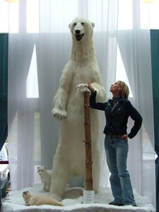 Wendy tuning Polar Bear