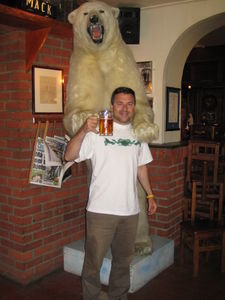 Drinking with Polar Bears