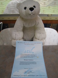 Percy the Polar Bear