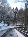 Snow Road.....