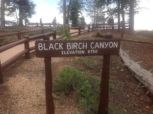 Black Birch Canyon