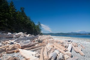 Rebecca Spit Provincial Park