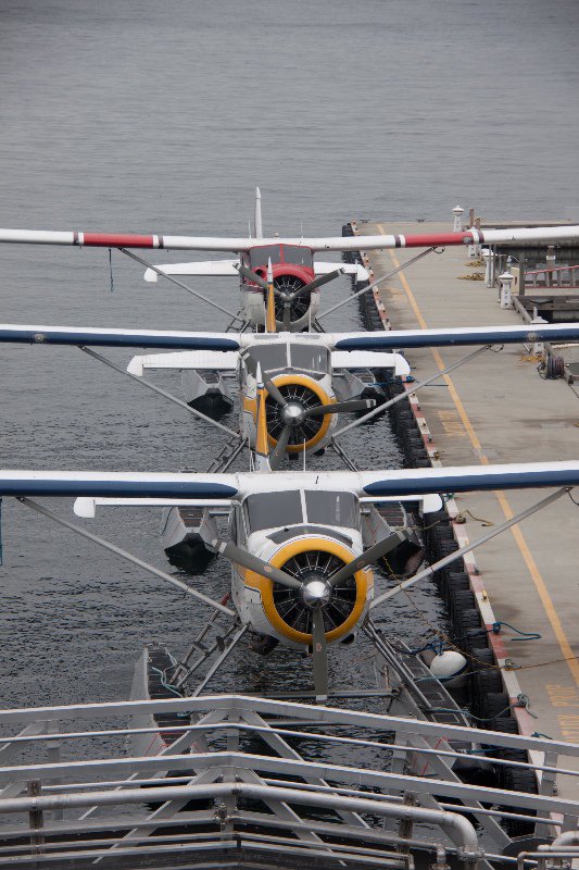 Seaplanes in the Harbour