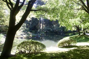 Nitobe Japanese Gardens