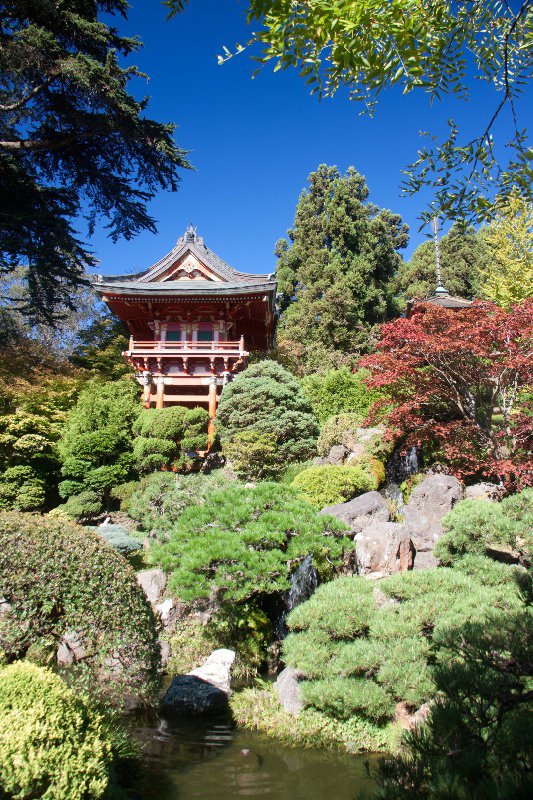 Japanese Tea Gardens
