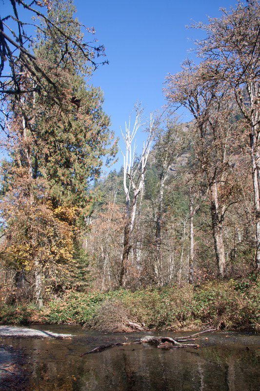 Goldstream Provincial Park