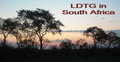 LDTG in South Africa
