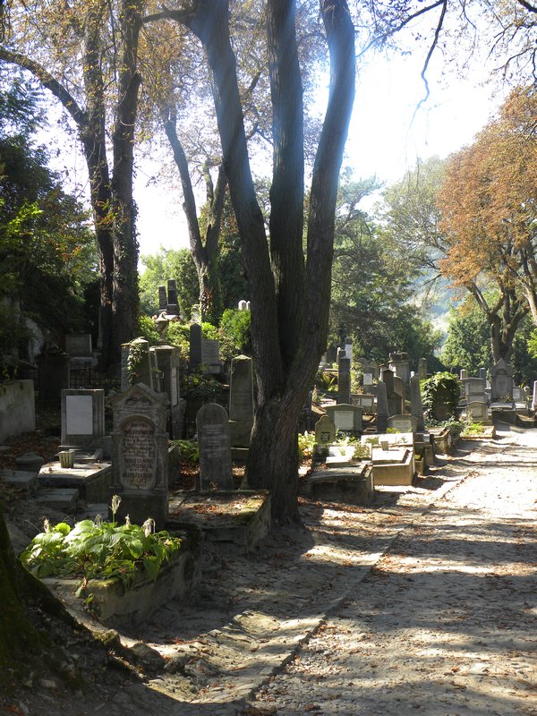Cemetery on the Hill