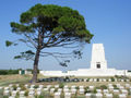 Lone Pine - Gallipoli