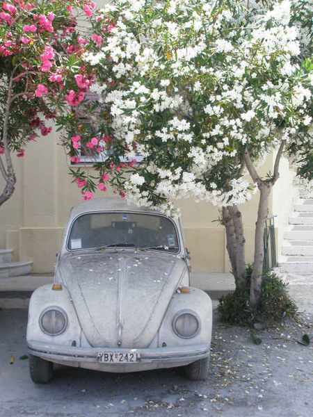 Pretty VW - Samos