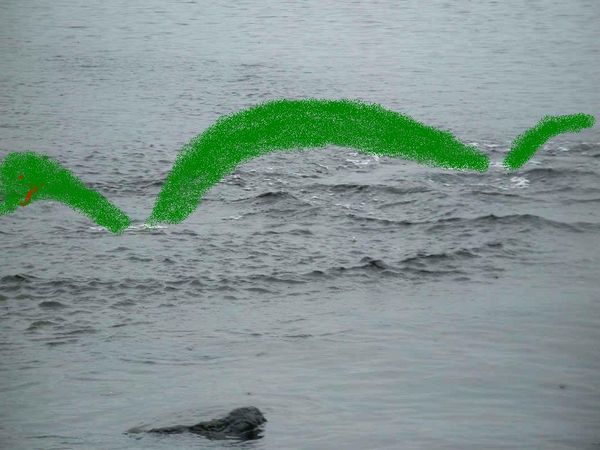 The Real Loch Ness Monster
