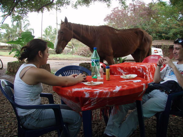 Fancy some horse with your sandwich?