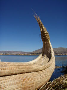 One of the many Reed Boats