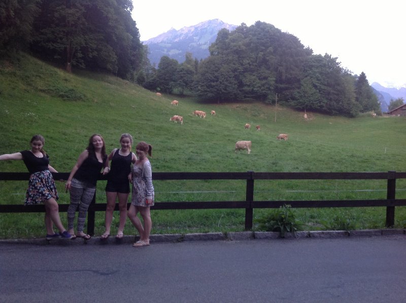 Swiss cows and the girls on our 1030pm stroll in Interlaken