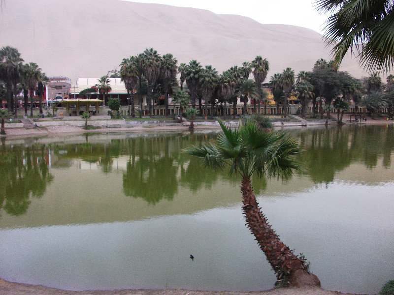 L'oasis de Huancachina 
