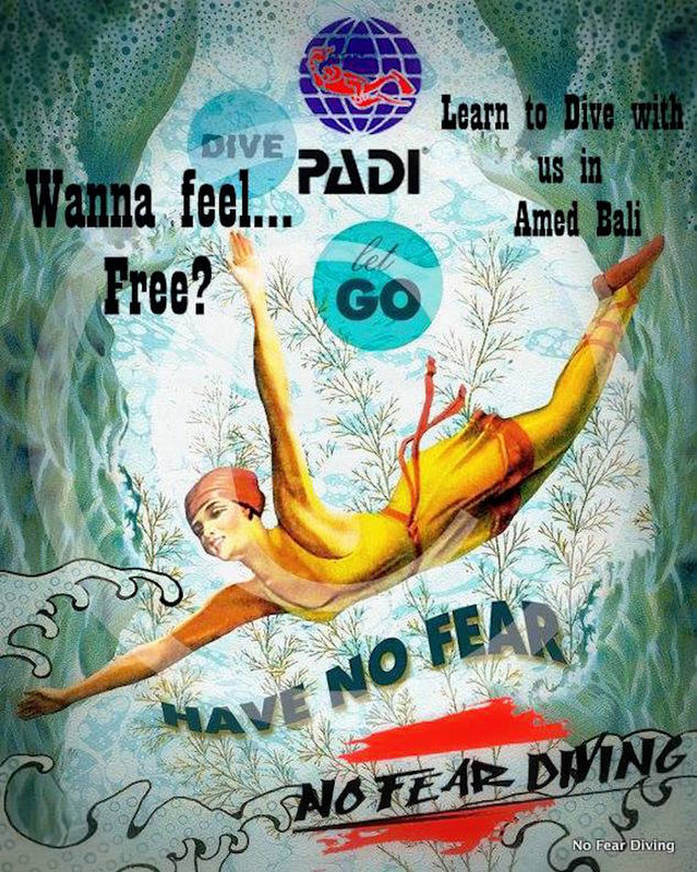 No Fear Diving no fear to dive