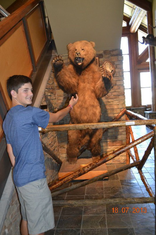 Rex tickling the bear's armpits