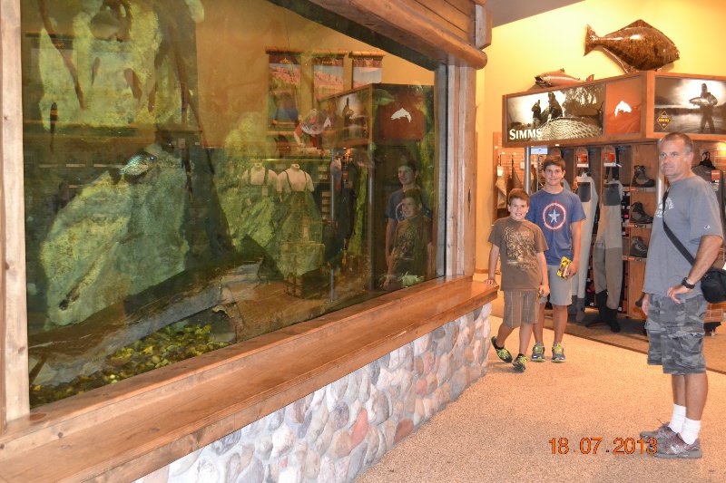 The trout aquarium