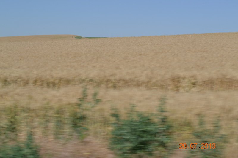 Wheat fields along I95 in Idaho