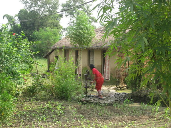 A Local Woman From Chitwan