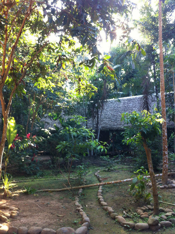 The lodge amongst the jungle