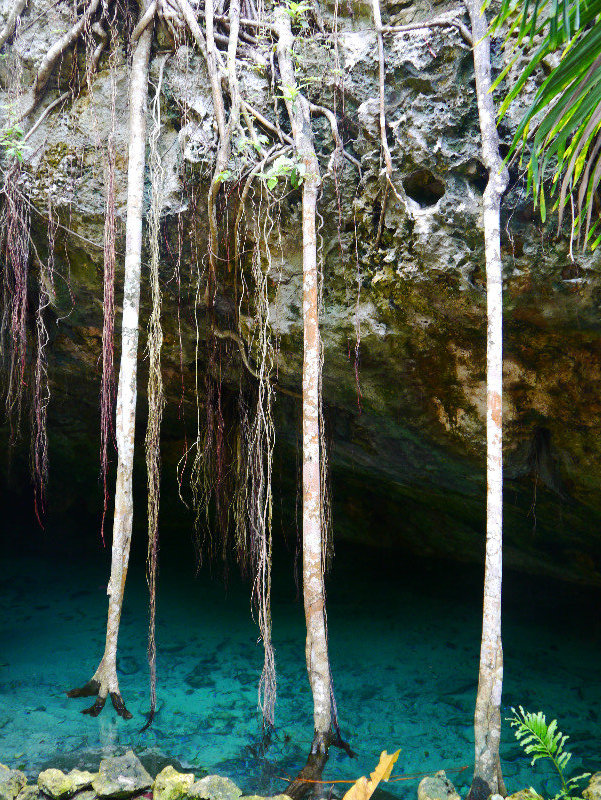 Entrance to the Cenote