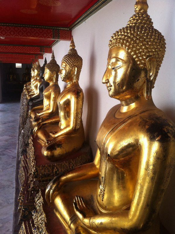 Muchos Buddhas