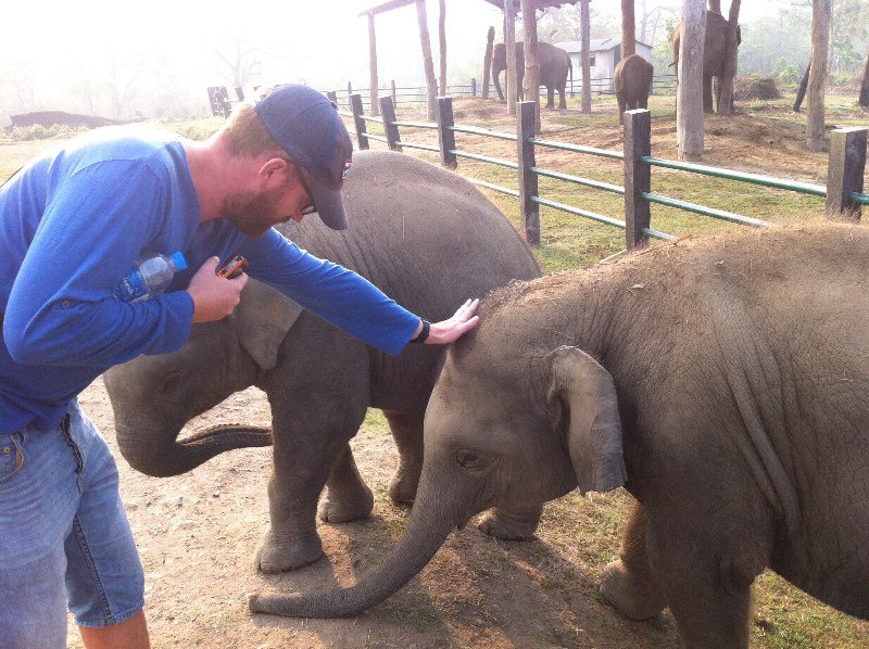 Shortly after this was taken that elephant on the left gave Craig a big shove!