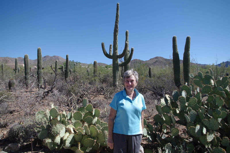 Gail at Sonoran Desert Museum